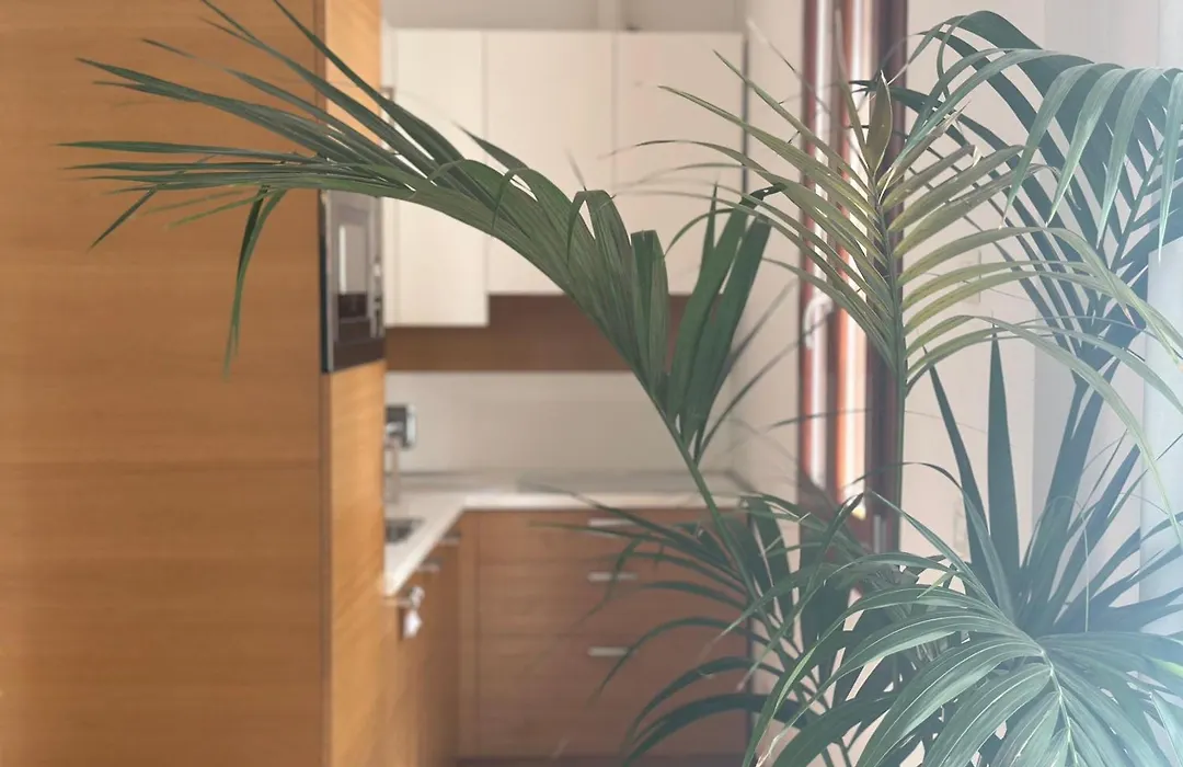 Ca' D'Oro Suite-1